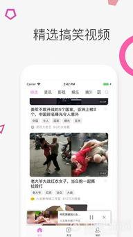 娱乐吃瓜酱笑话段子视频,娱乐吃瓜酱带你领略段子、笑话、视频的欢乐盛宴  第1张